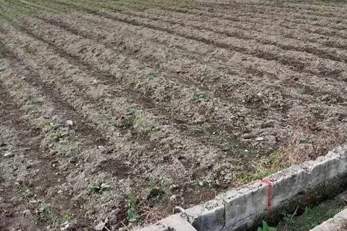 Land for Sale in San Agustin, Magalang, Pampanga – photo 2