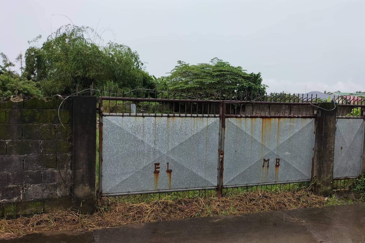 Land for Sale in San Agustin, Magalang, Pampanga – photo 5