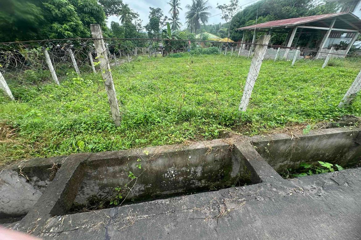 Land for Sale in San Agustin, Samal, Davao del Norte