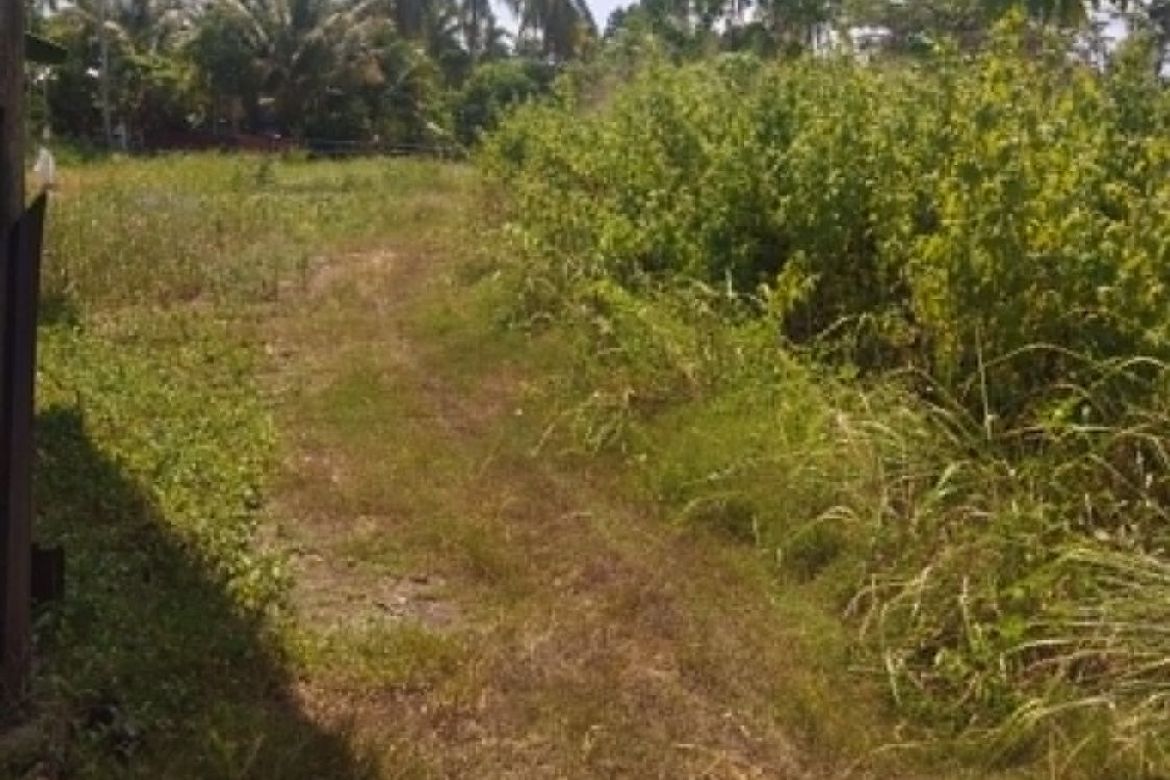 Land for Sale in San Agustin, Samal, Davao del Norte – photo 5