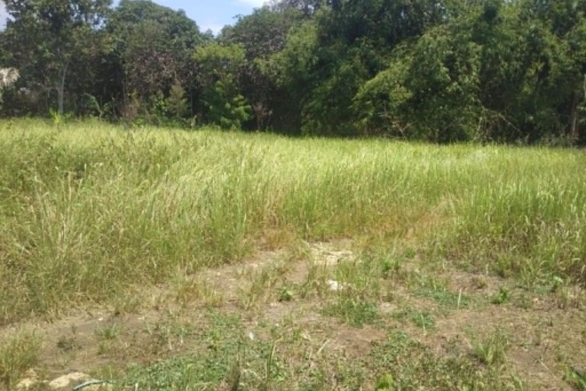 Land for Sale in San Agustin, Samal, Davao del Norte – photo 8