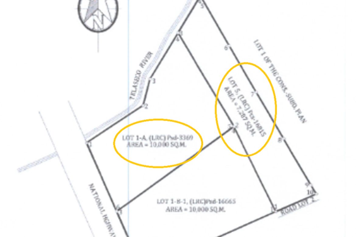 Land for Sale in San Agustin, San Simon, Pampanga – photo 5