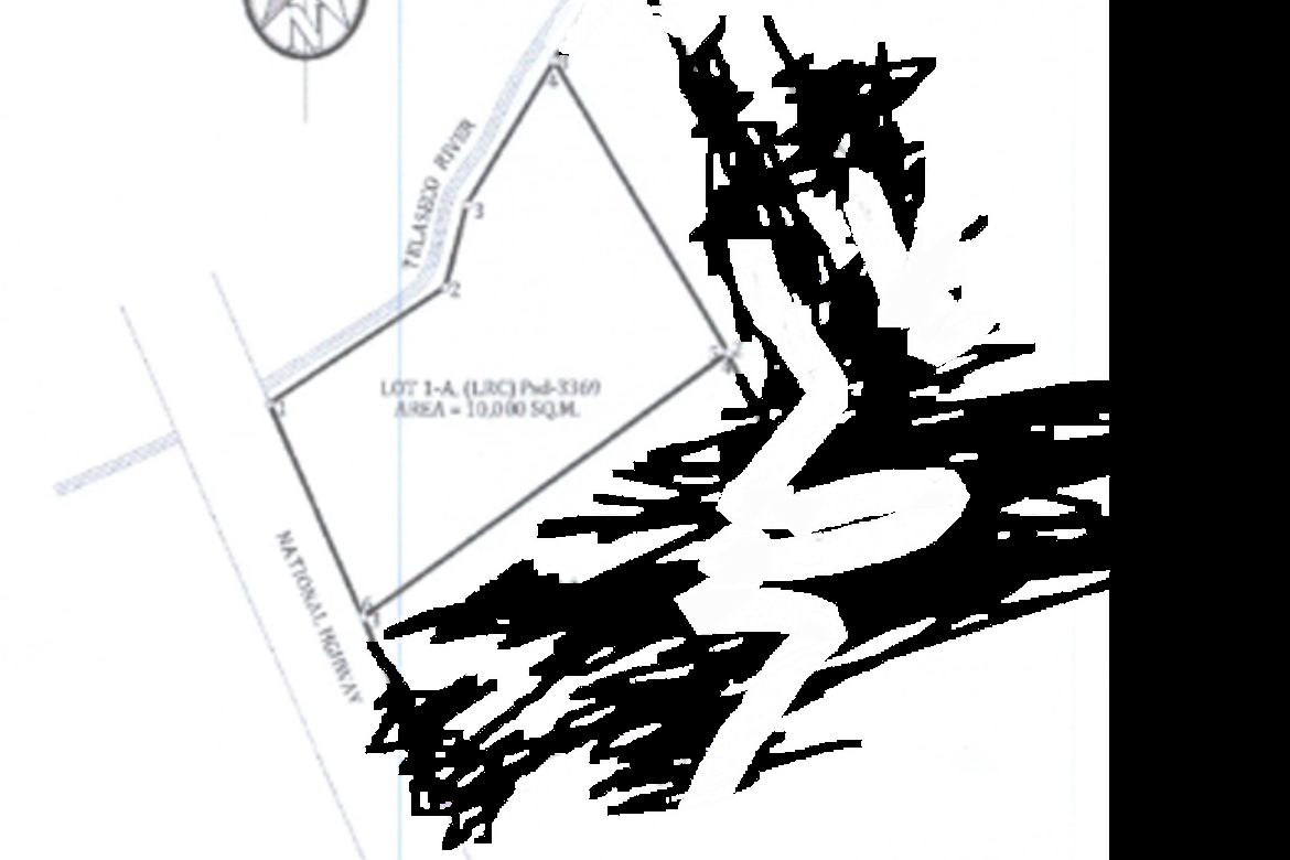 Land for Sale in San Agustin, San Simon, Pampanga – photo 6