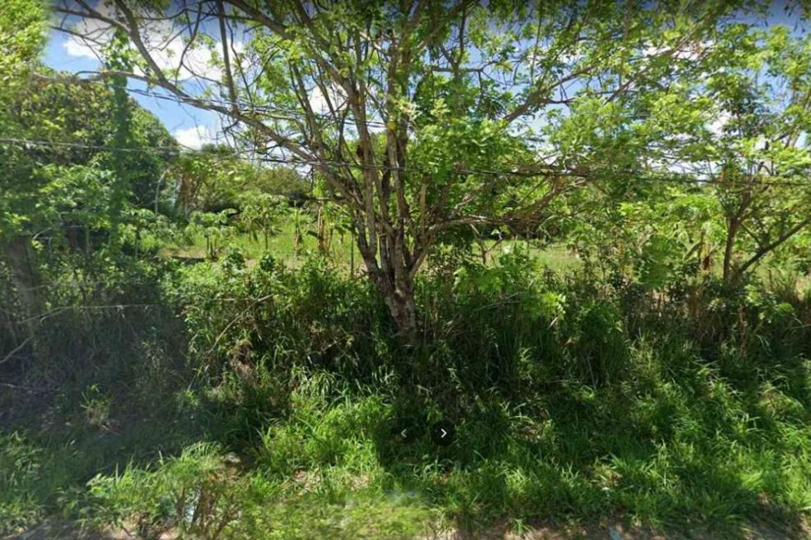 Land for Sale in San Agustin, Trece Martires, Cavite – photo 4