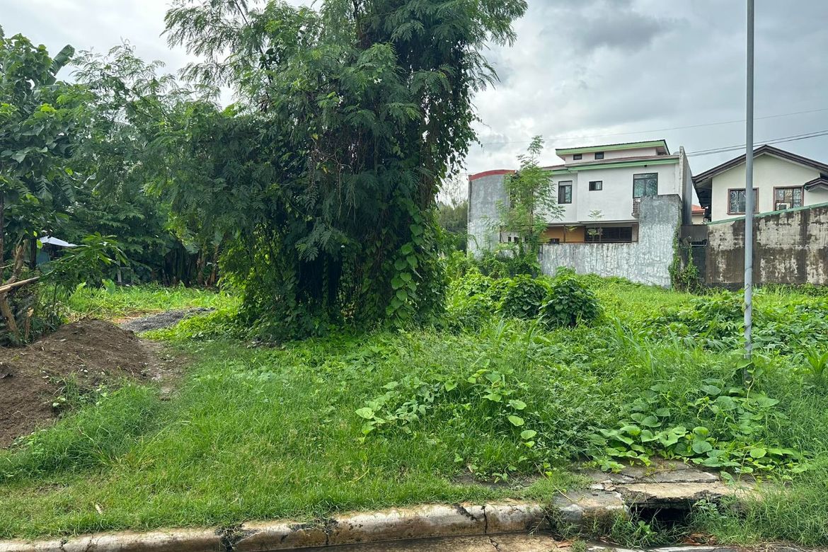 Land for Sale in San Andres, Cainta, Rizal