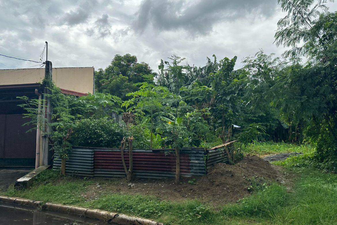 Land for Sale in San Andres, Cainta, Rizal – photo 3