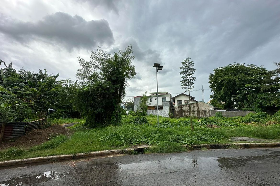 Land for Sale in San Andres, Cainta, Rizal – photo 4