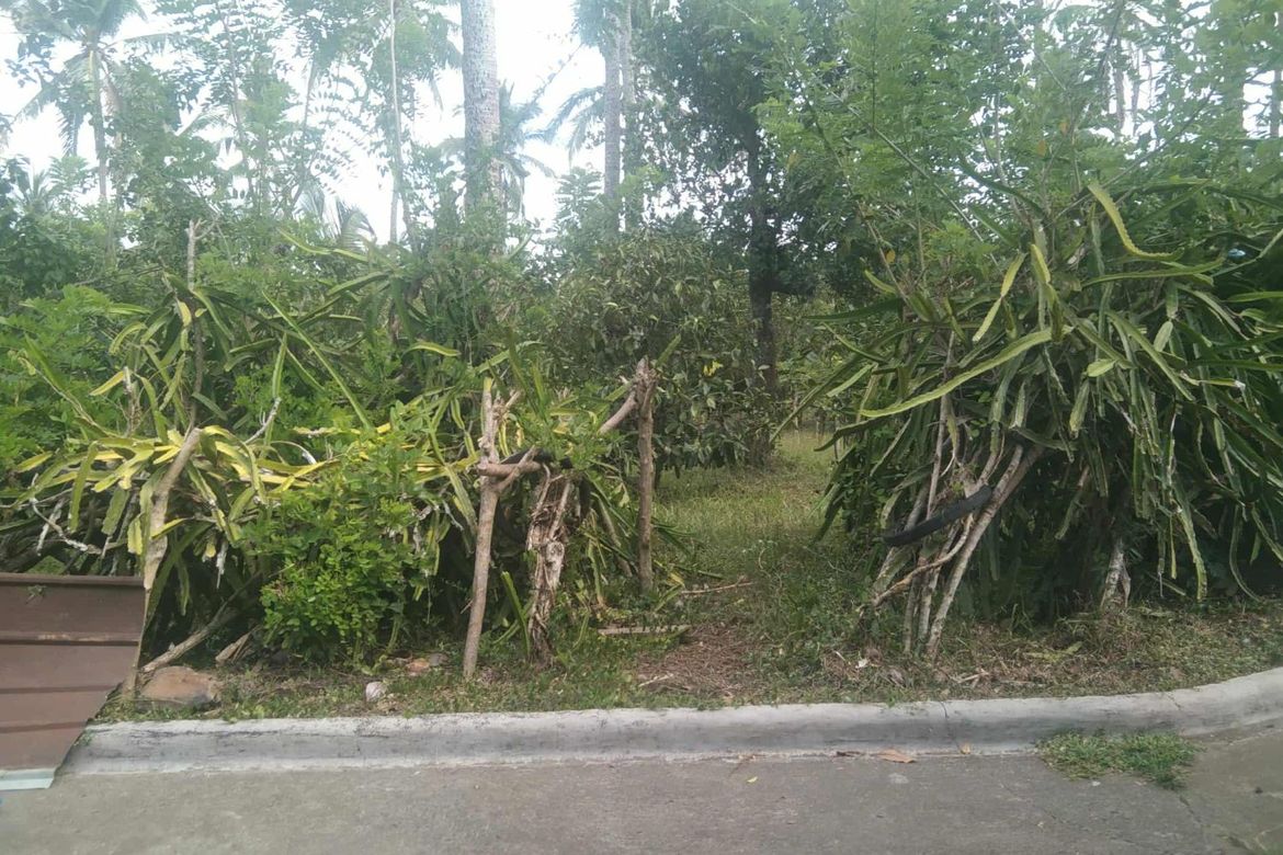 Land for Sale in San Andres, Malvar, Batangas