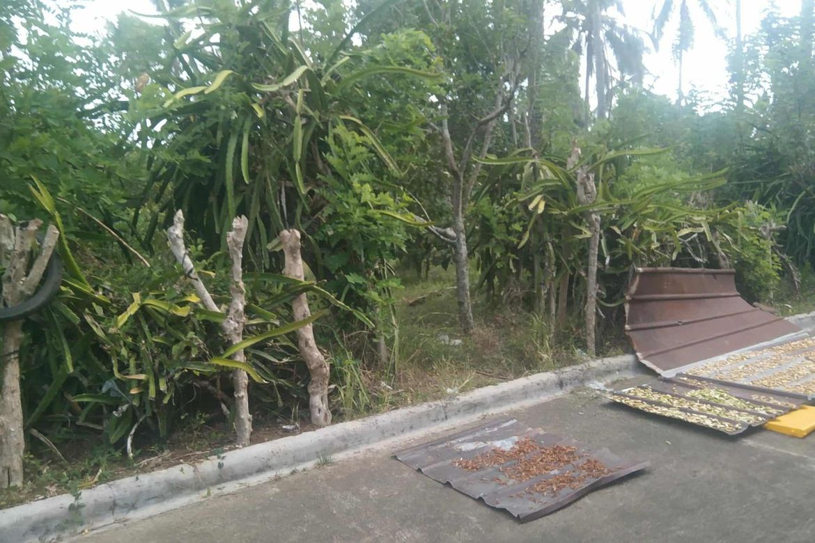 Land for Sale in San Andres, Malvar, Batangas – photo 5