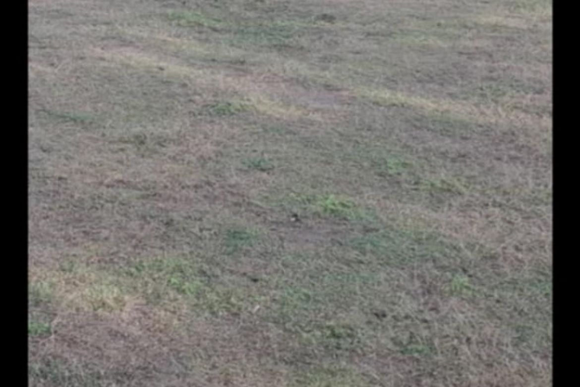Land for Sale in San Angel, San Jose, Antique – photo 2