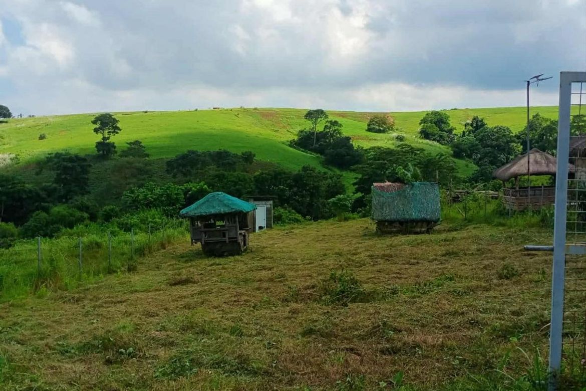 Land for Sale in San Antonio, Bagac, Bataan – photo 5