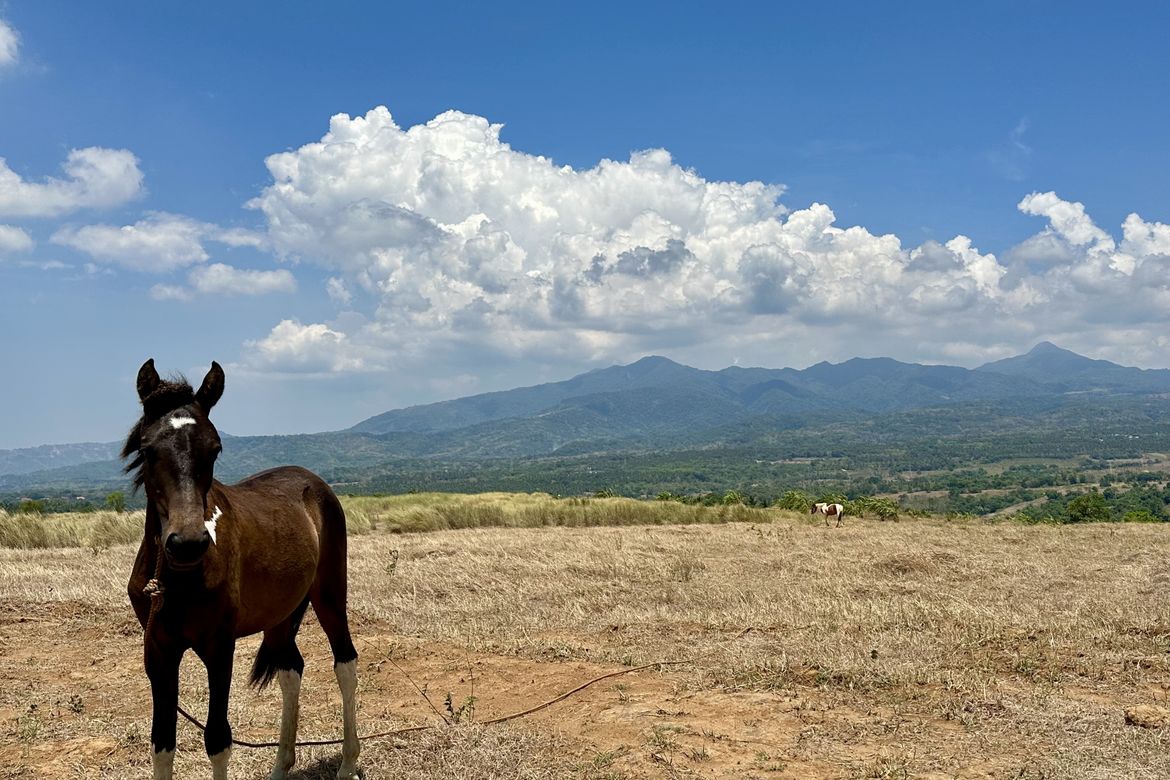 Land for Sale in San Antonio, Bagac, Bataan
