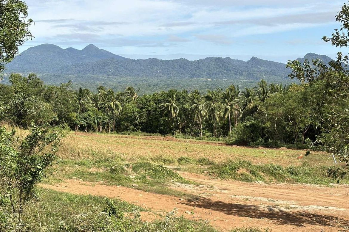Land for Sale in San Antonio, Bagac, Bataan – photo 3