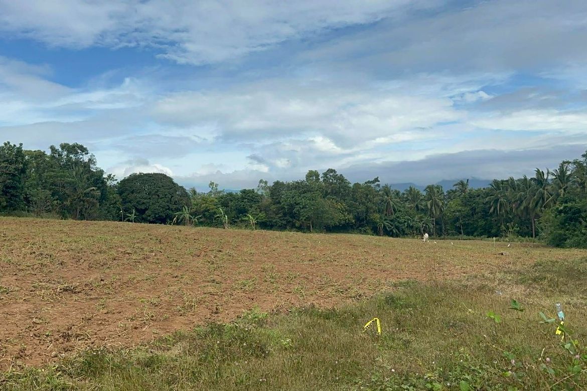 Land for Sale in San Antonio, Bagac, Bataan – photo 5