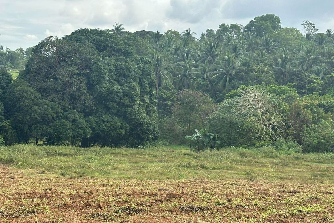 Land for Sale in San Antonio, Bagac, Bataan – photo 6