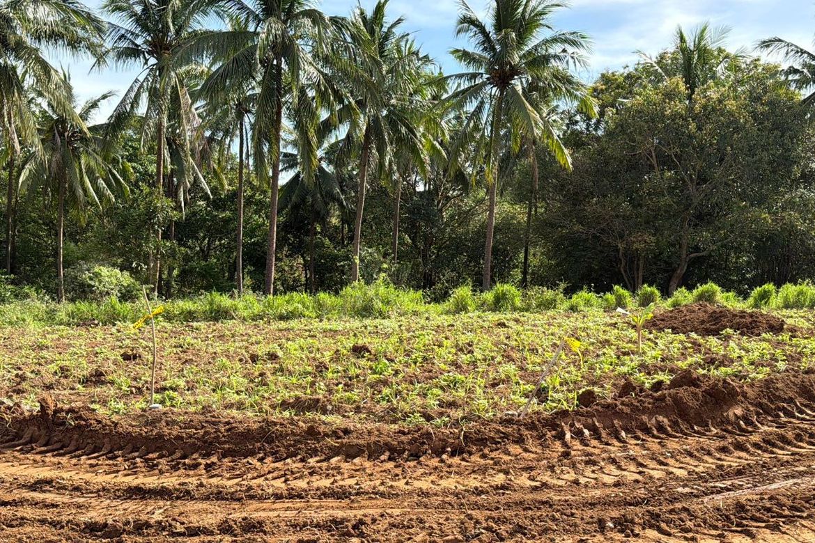 Land for Sale in San Antonio, Bagac, Bataan – photo 7