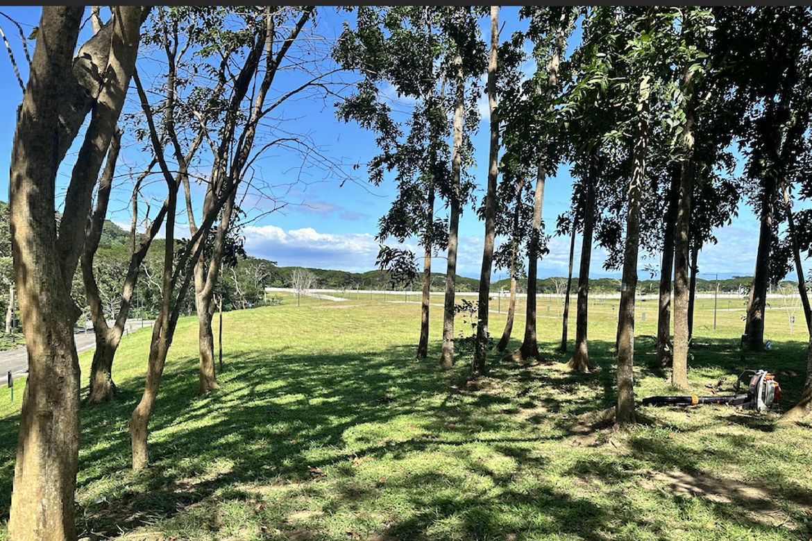 Land for Sale in San Antonio, Biñan, Laguna – photo 7