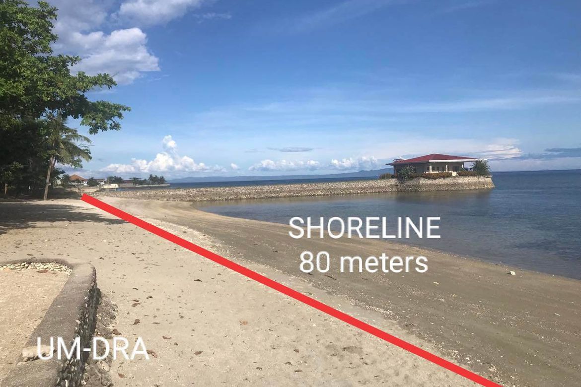 Land for Sale in San Antonio, Boljoon, Cebu – photo 5