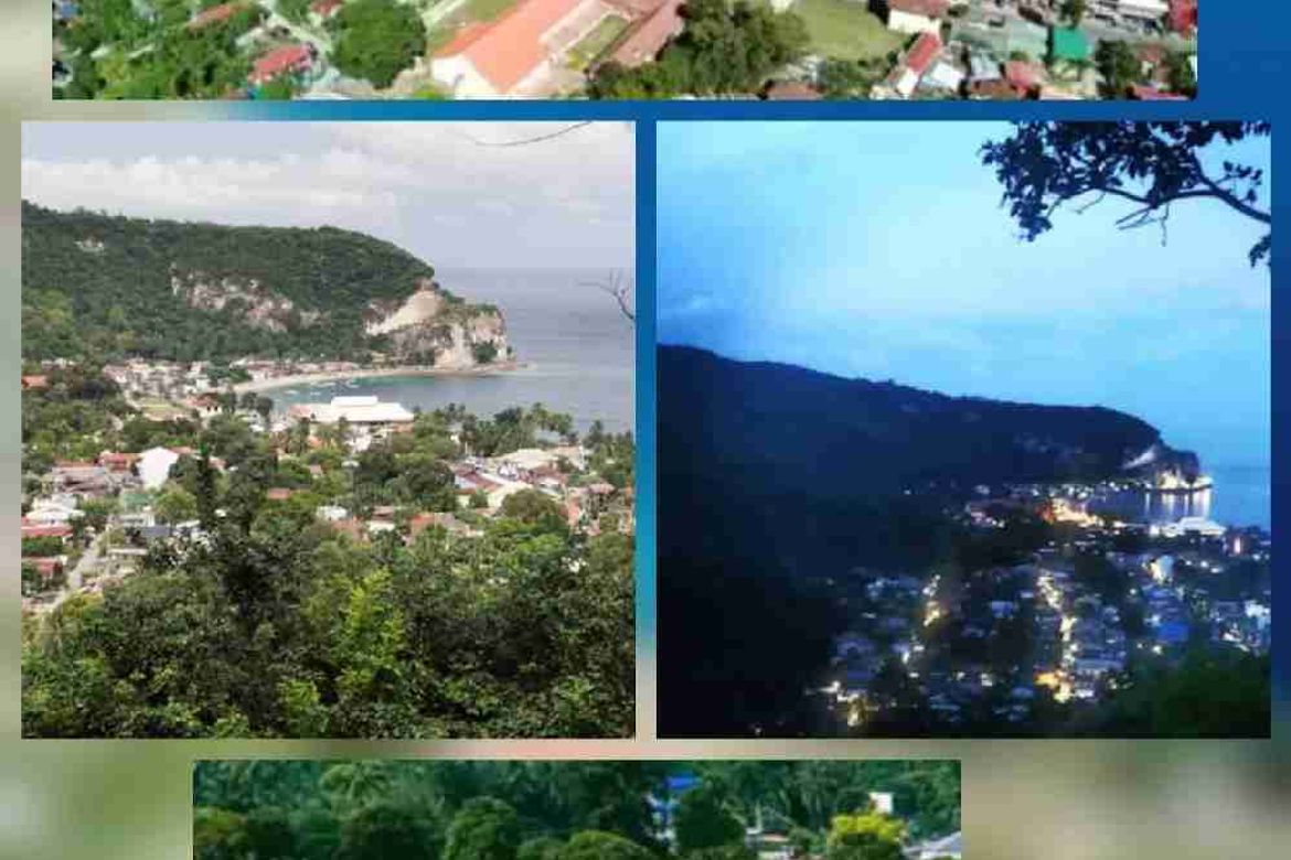 Land for Sale in San Antonio, Boljoon, Cebu – photo 2
