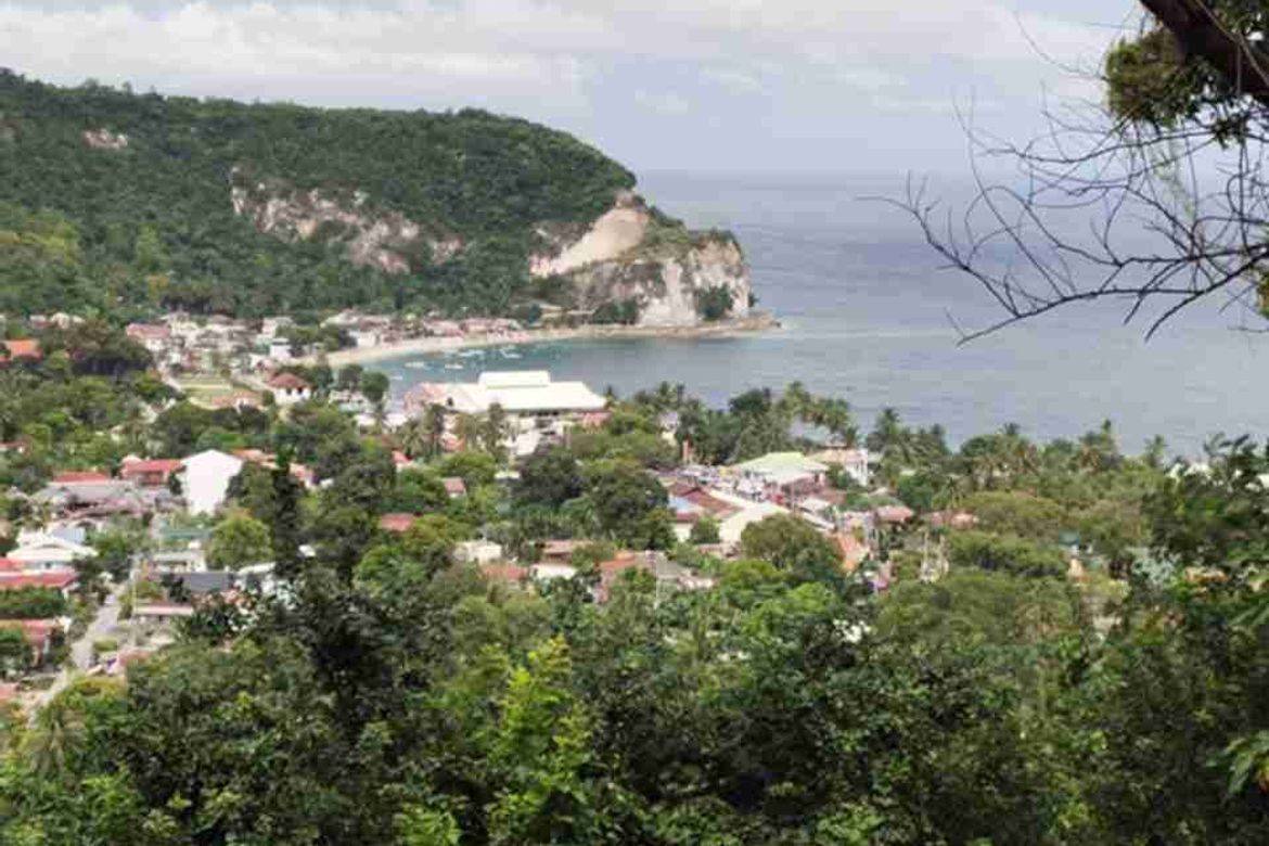 Land for Sale in San Antonio, Boljoon, Cebu – photo 5