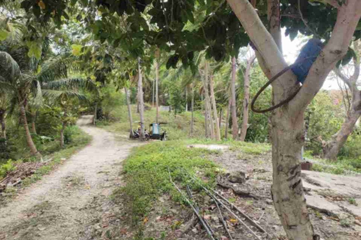 Land for Sale in San Antonio, Boljoon, Cebu – photo 6