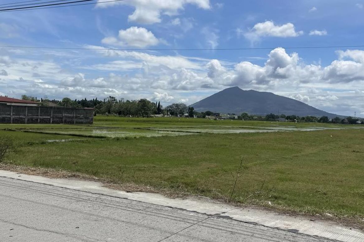Land for Sale in San Antonio, Concepcion, Tarlac – photo 3