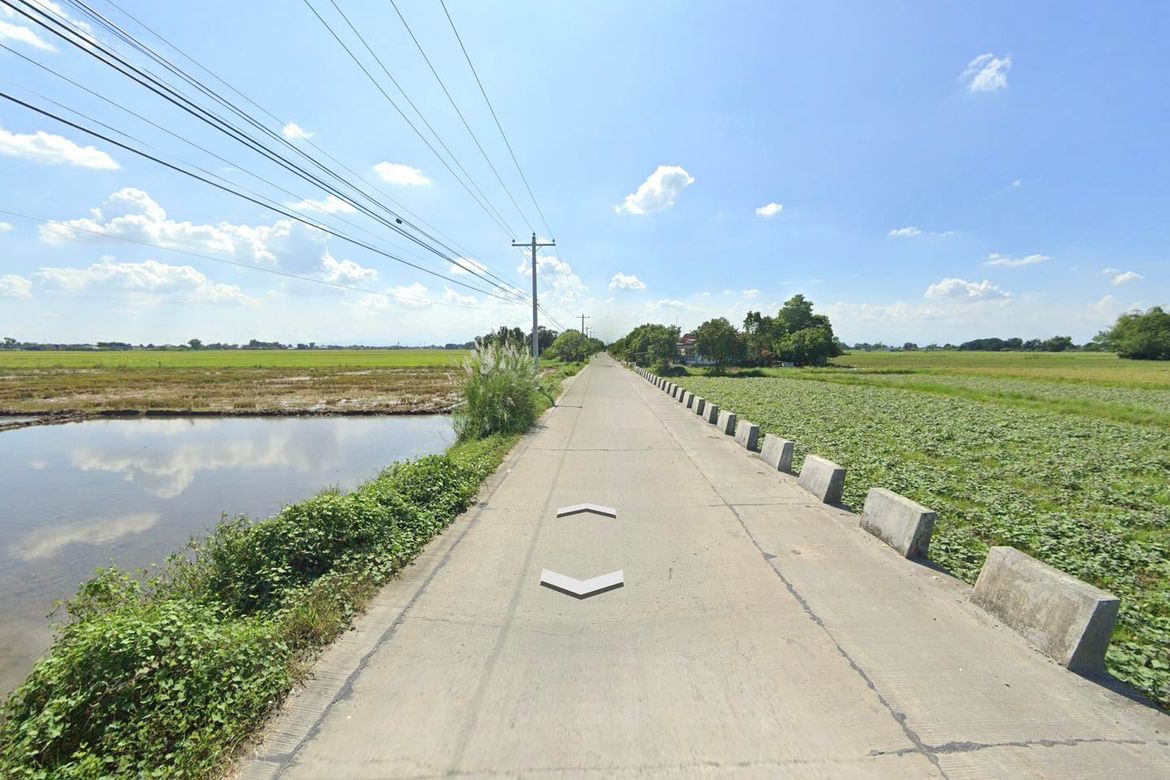 Land for Sale in San Antonio, Concepcion, Tarlac – photo 5