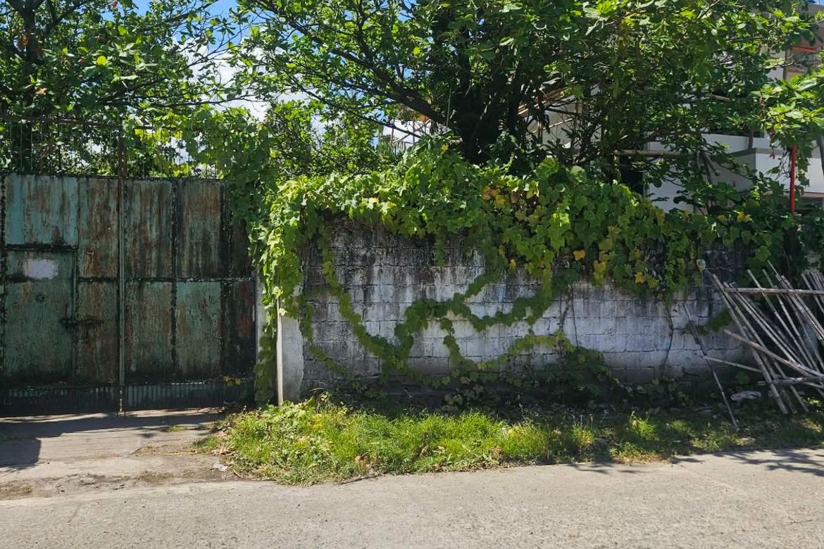 Land for Sale in San Antonio, Iloilo City, Iloilo