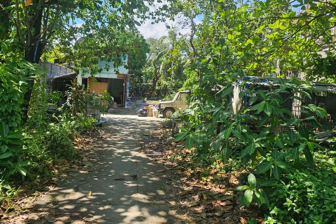 Land for Sale in San Antonio, Iloilo City, Iloilo – photo 2