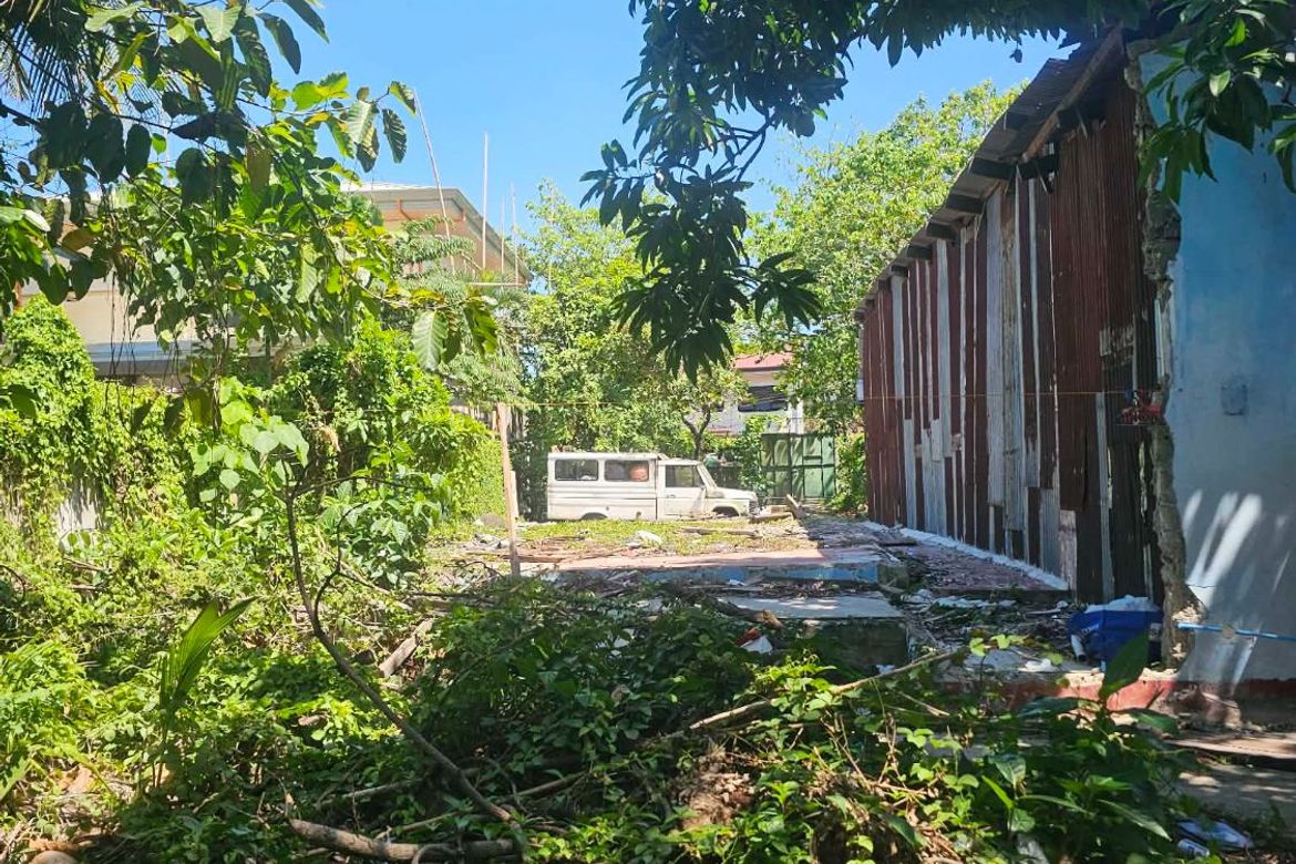 Land for Sale in San Antonio, Iloilo City, Iloilo – photo 6