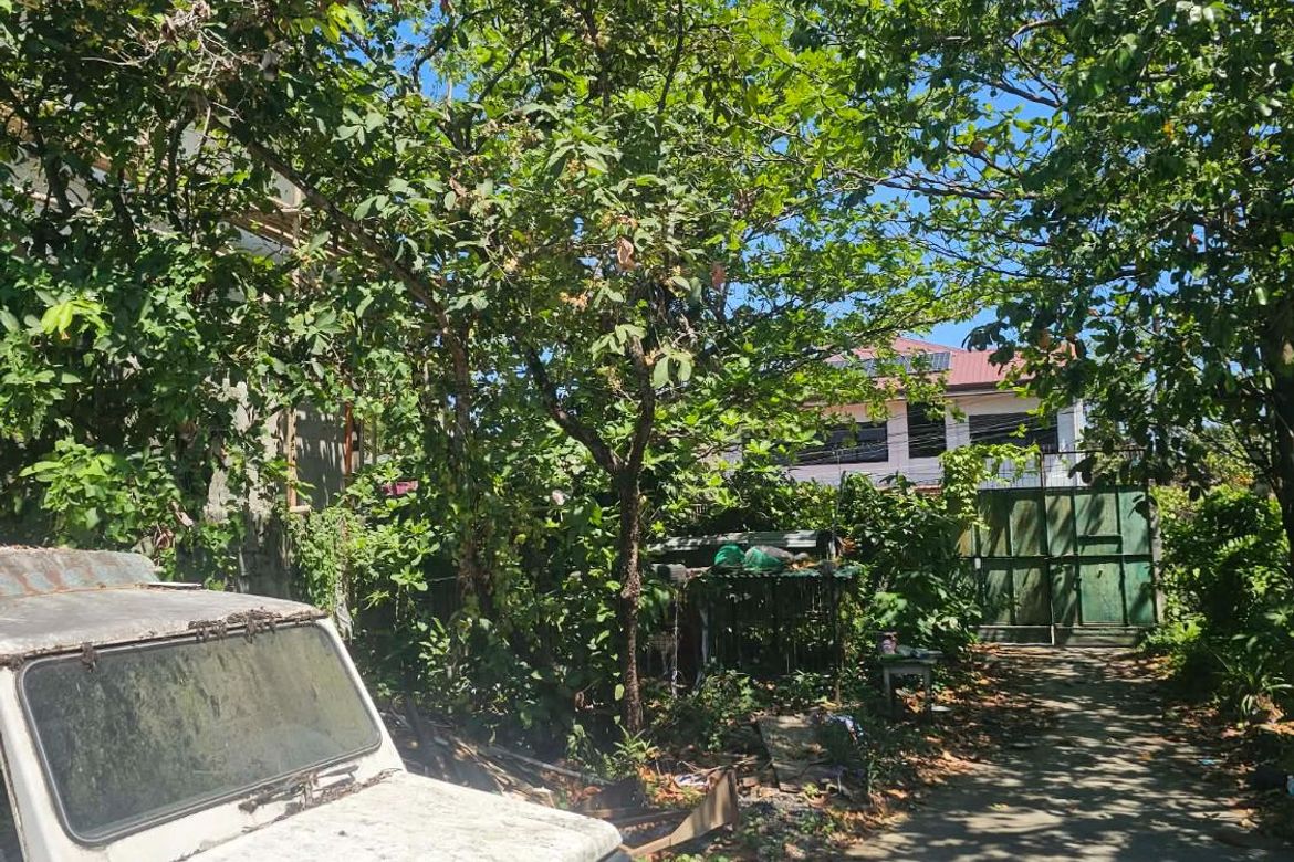 Land for Sale in San Antonio, Iloilo City, Iloilo – photo 8