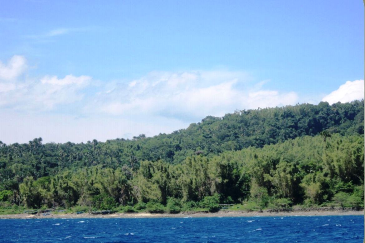 Land for Sale in San Antonio, Isla Verde, Batangas City, Batangas – photo 2