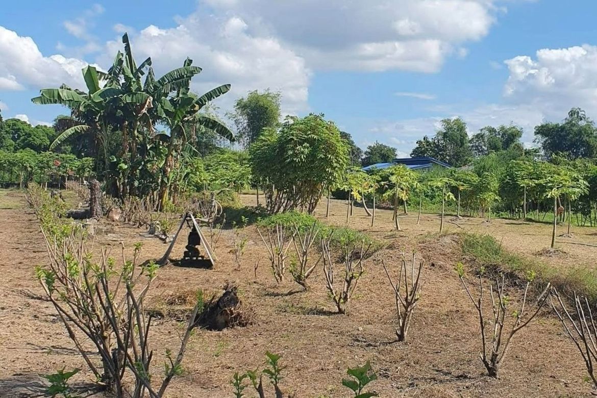 Land for Sale in San Antonio, Lubao, Pampanga – photo 3