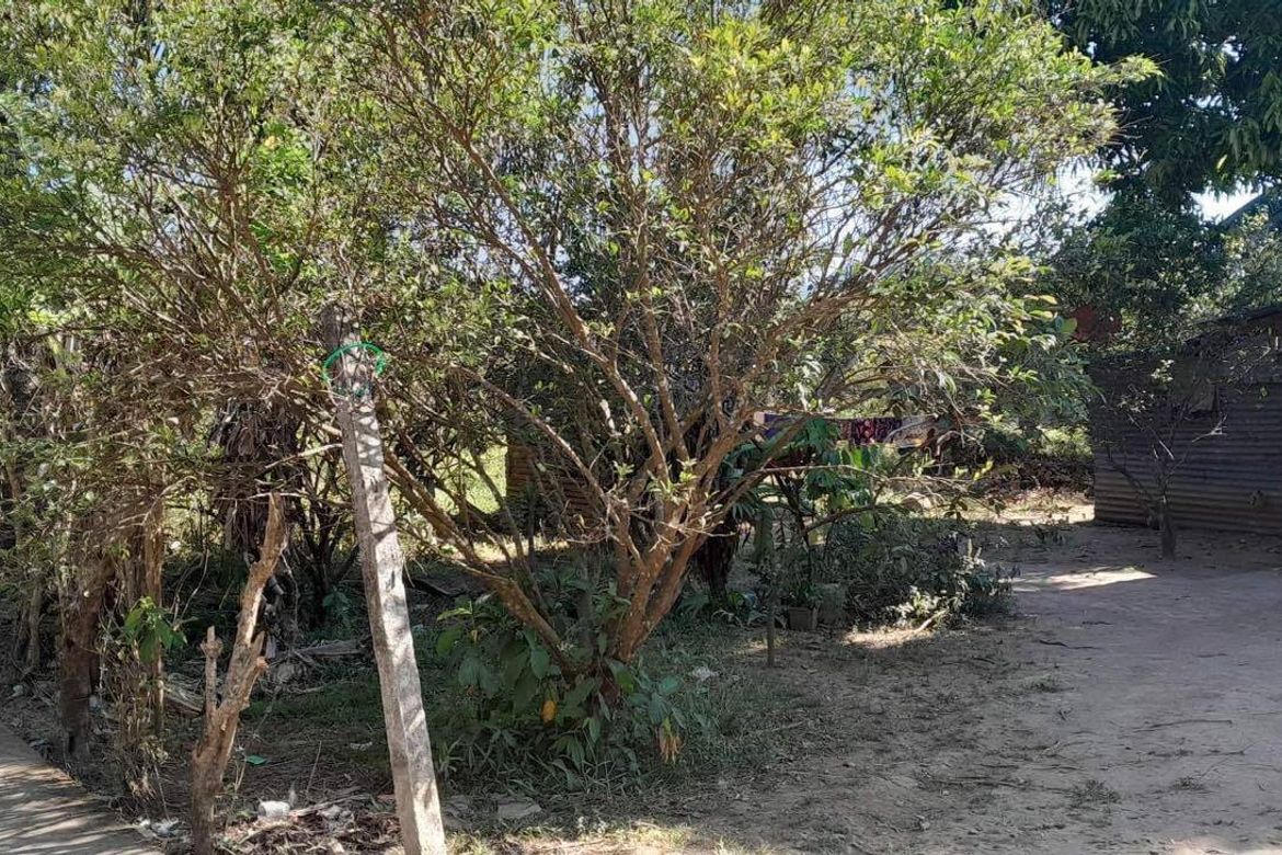 Land for Sale in San Antonio, Mabitac, Laguna – photo 2