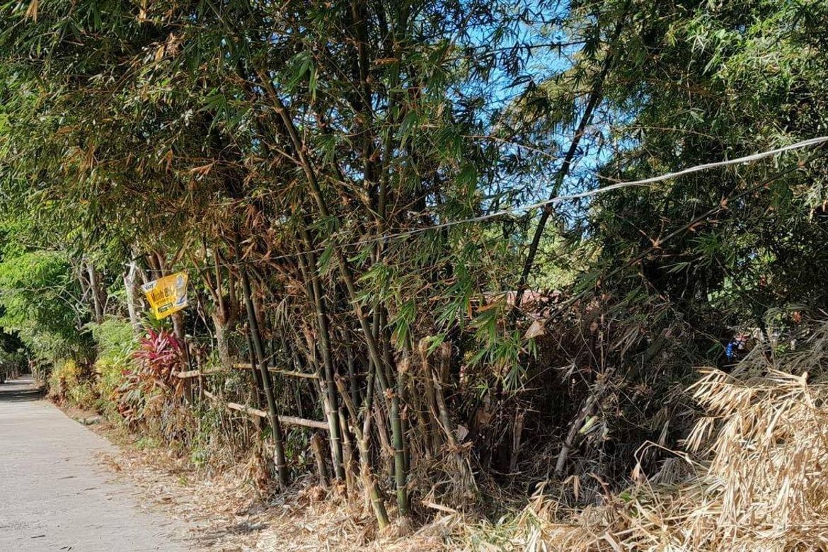 Land for Sale in San Antonio, Mabitac, Laguna – photo 3
