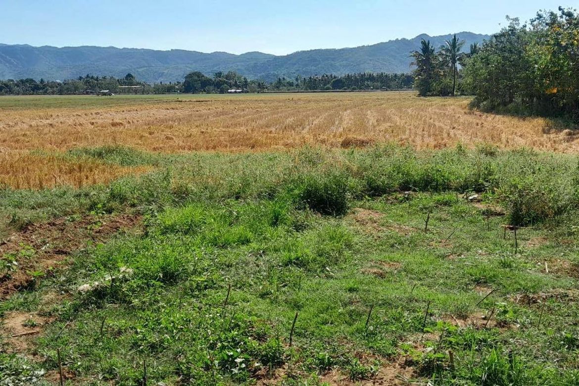 Land for Sale in San Antonio, Mabitac, Laguna – photo 7