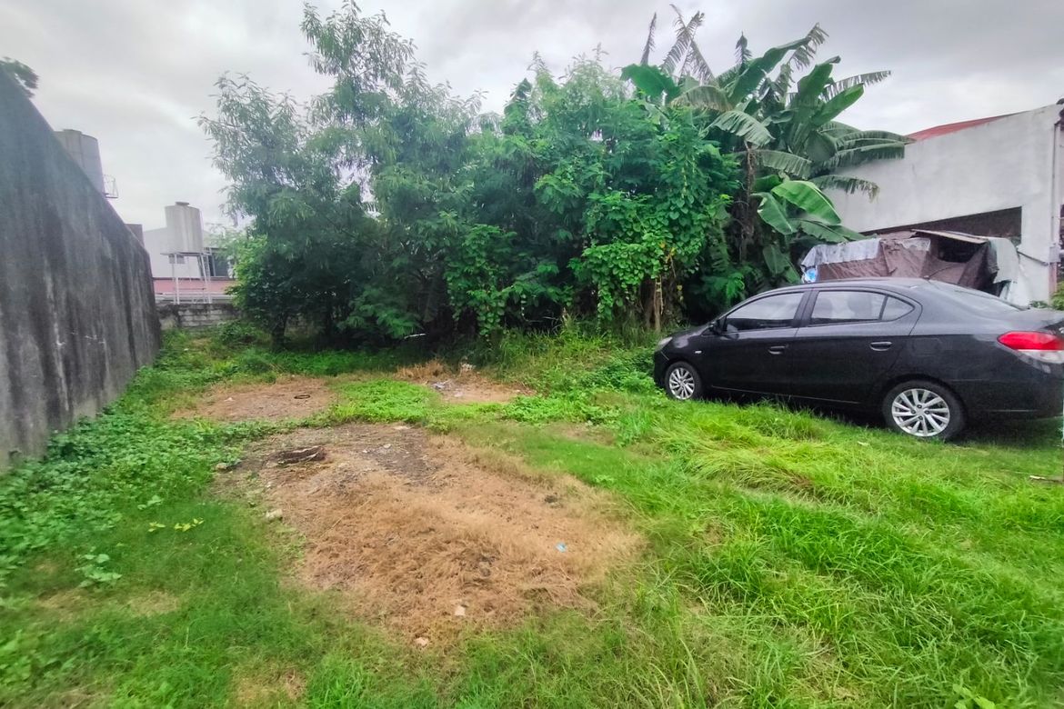 Land for Sale in San Antonio, Parañaque, Metro Manila