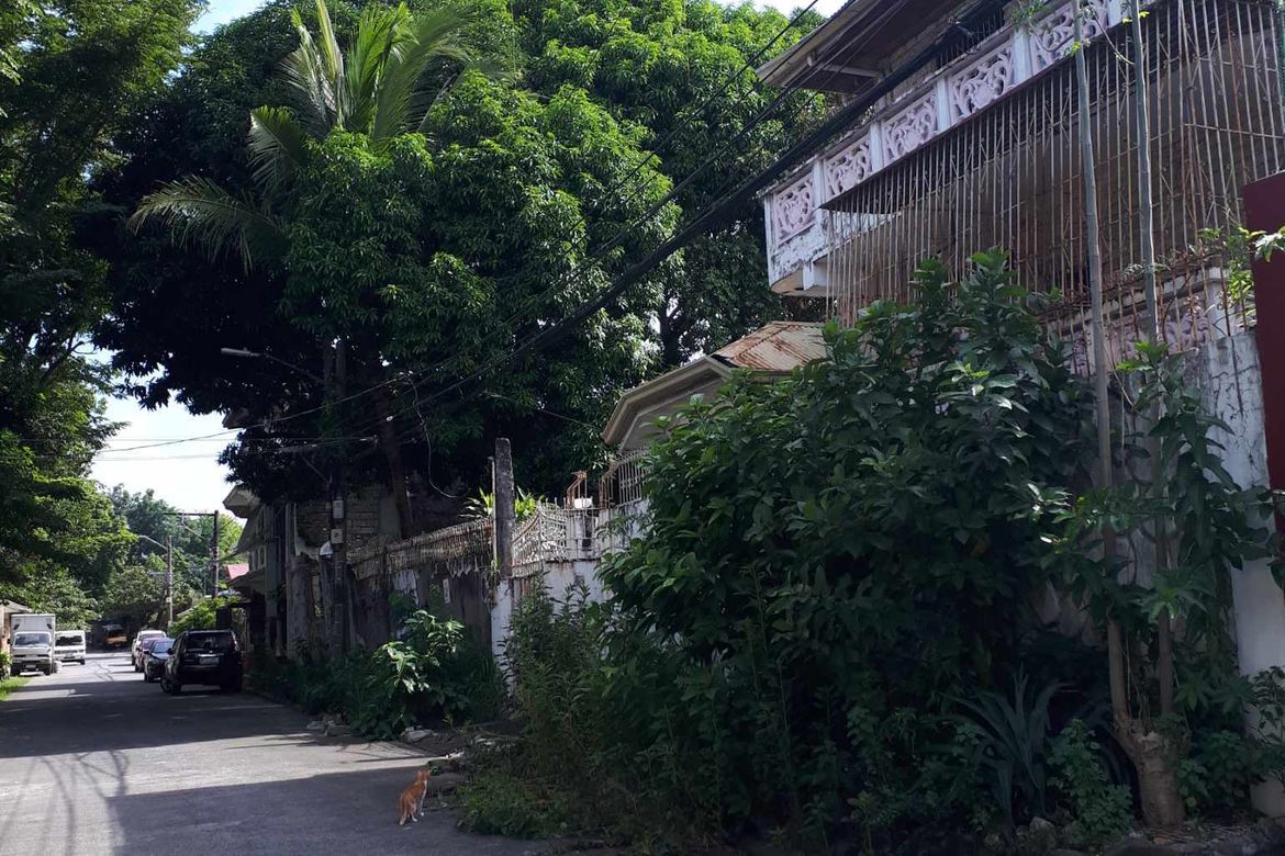 Land for Sale in San Antonio, Parañaque, Metro Manila – photo 2