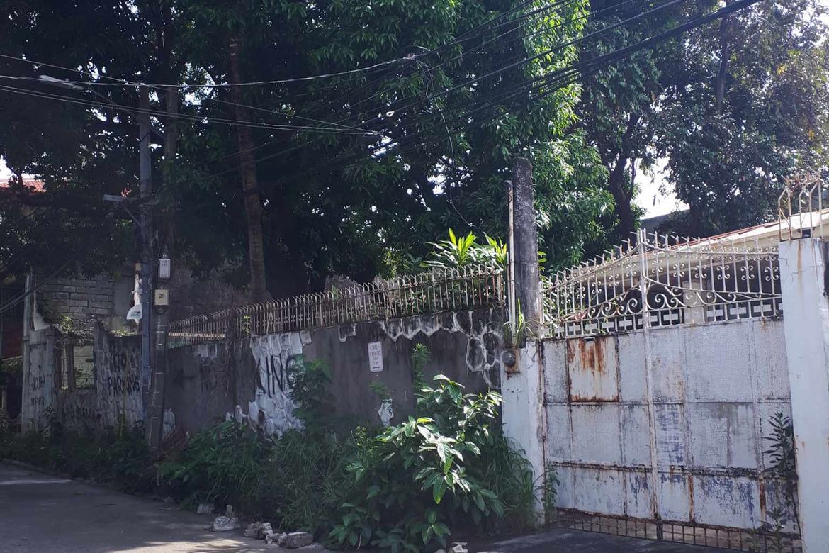 Land for Sale in San Antonio, Parañaque, Metro Manila – photo 3