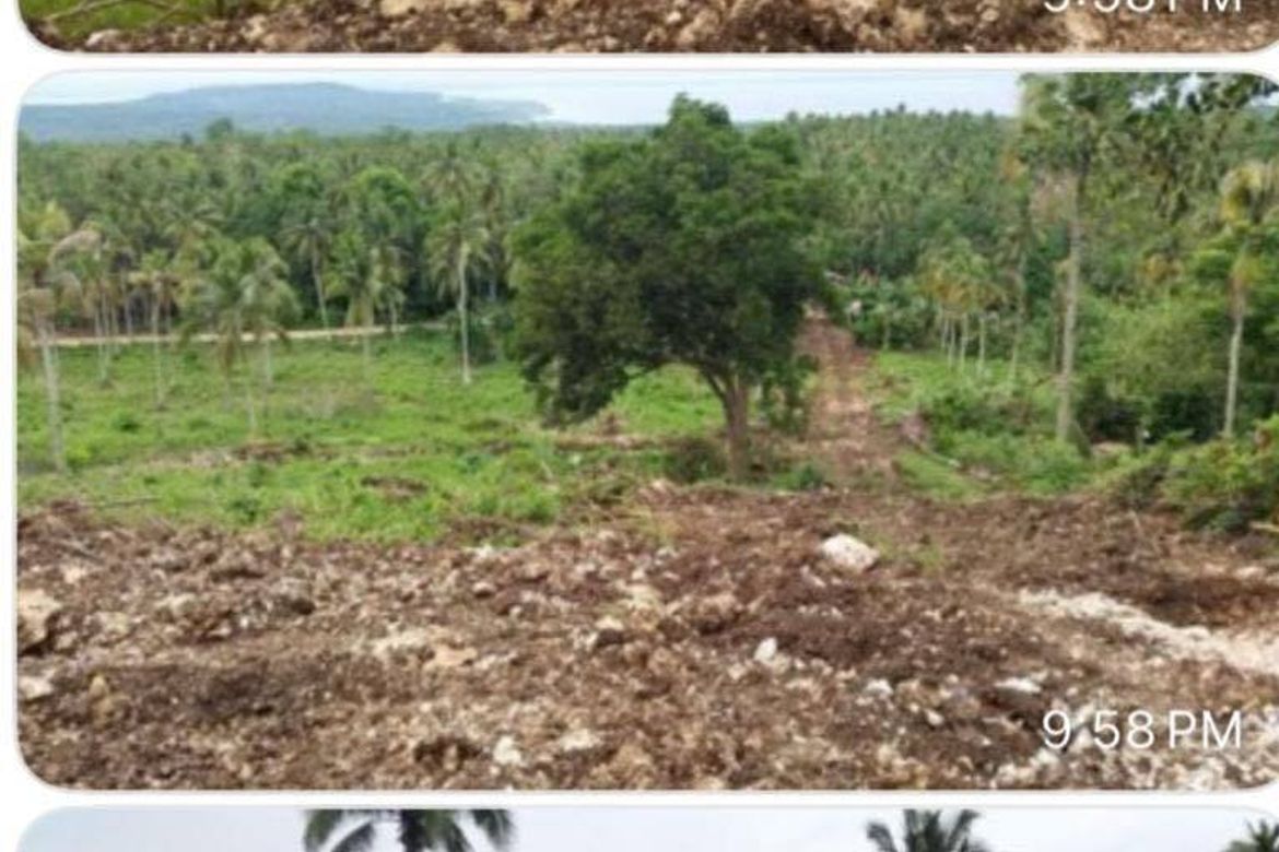 Land for Sale in San Antonio, Samal, Davao del Norte – photo 4