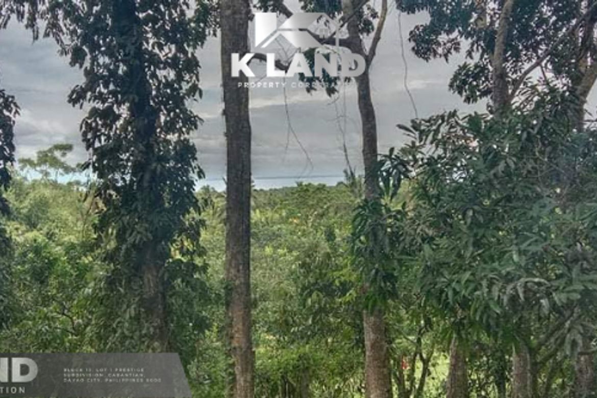 Land for Sale in San Antonio, Samal, Davao del Norte – photo 3