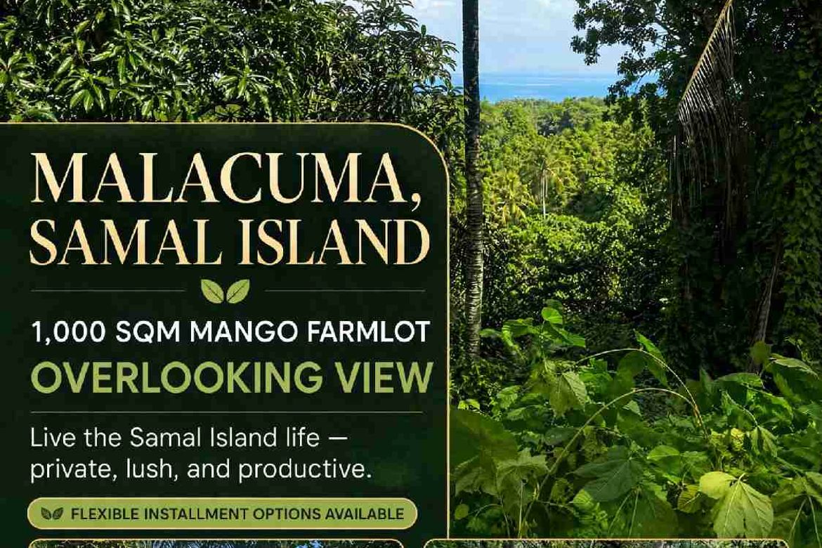 Land for Sale in San Antonio, Samal, Davao del Norte