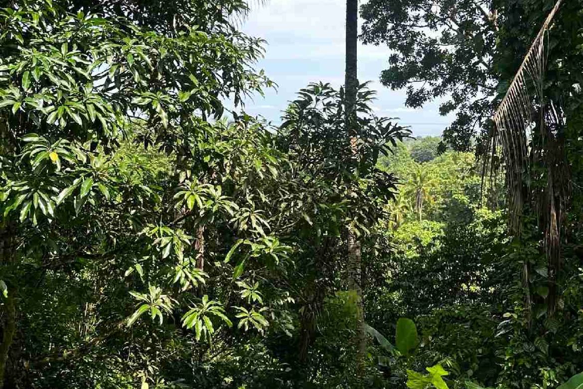 Land for Sale in San Antonio, Samal, Davao del Norte – photo 3