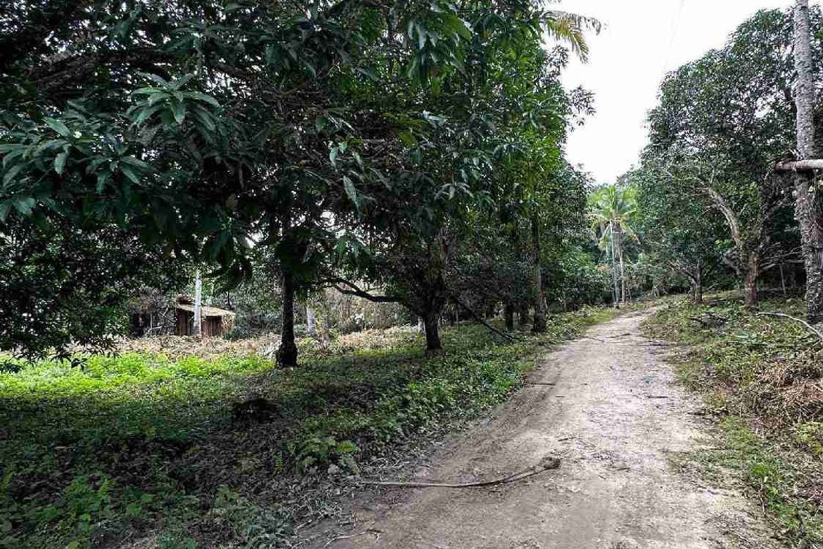 Land for Sale in San Antonio, Samal, Davao del Norte – photo 8