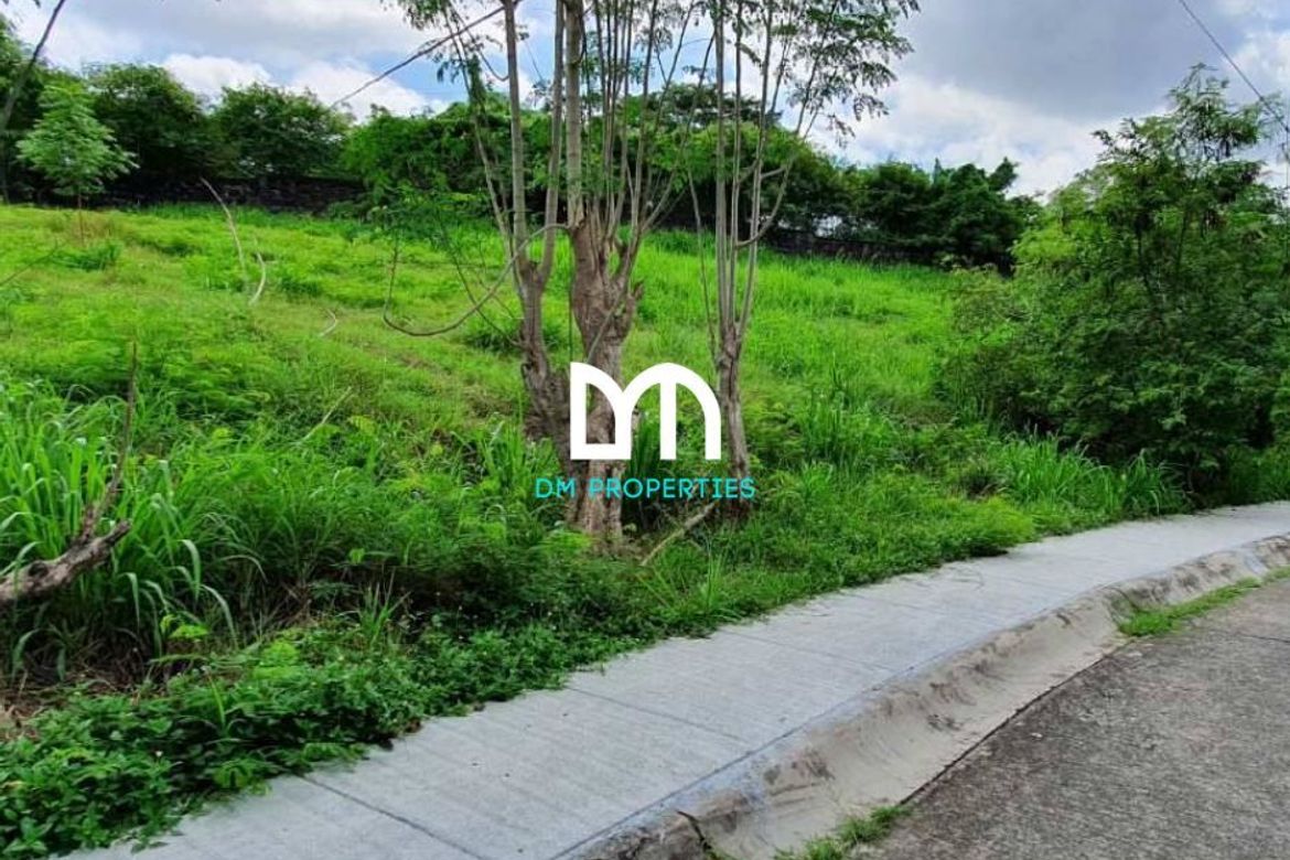 Land for Sale in San Antonio, San Pedro, Laguna – photo 2