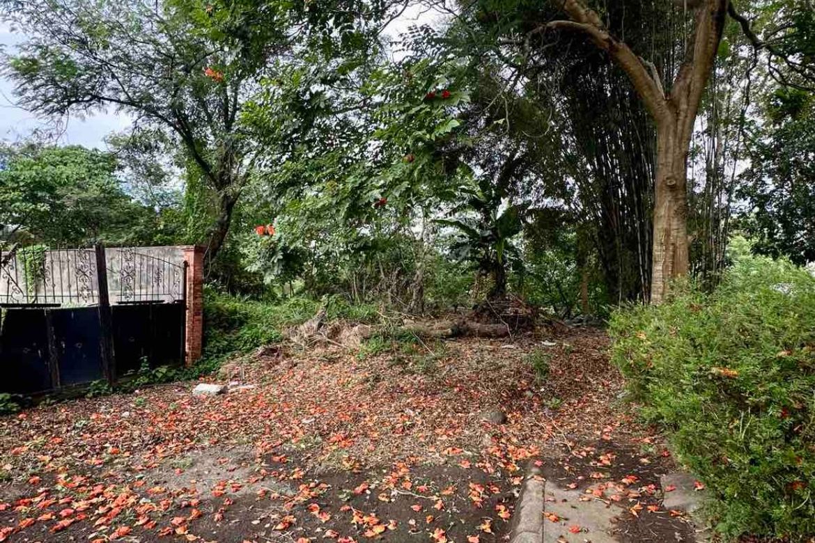 Land for Sale in San Antonio, San Pedro, Laguna – photo 2