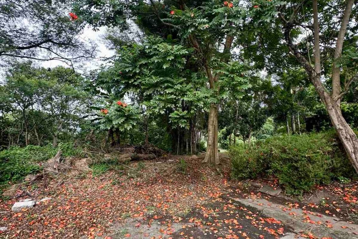 Land for Sale in San Antonio, San Pedro, Laguna – photo 3