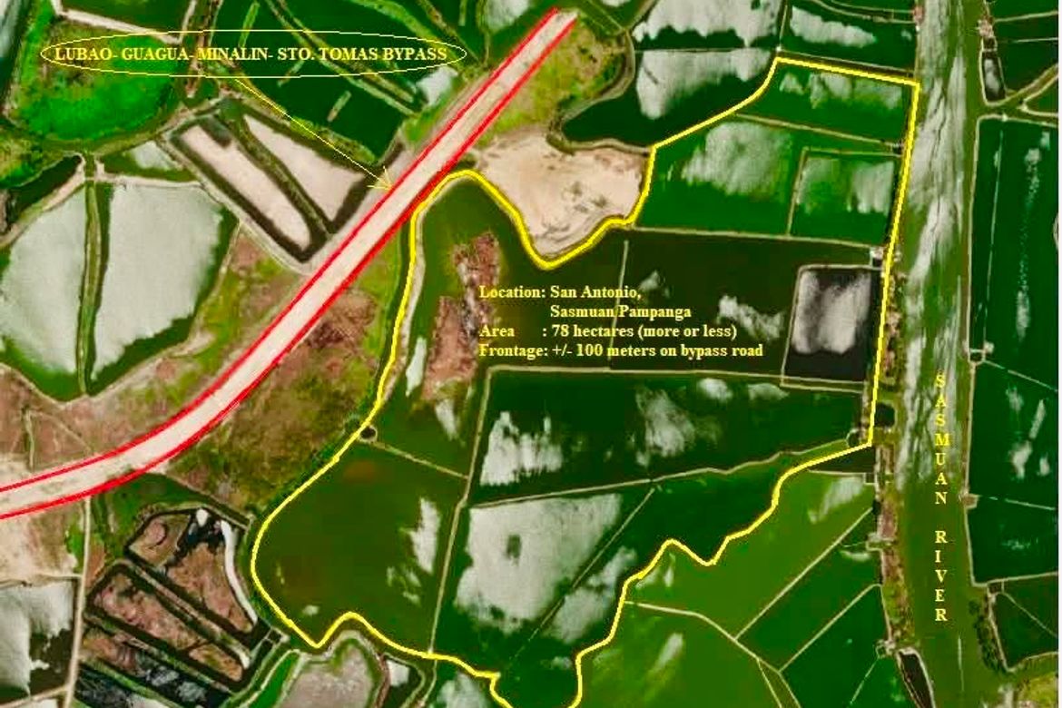 Land for Sale in San Antonio, Sasmuan, Pampanga – photo 8