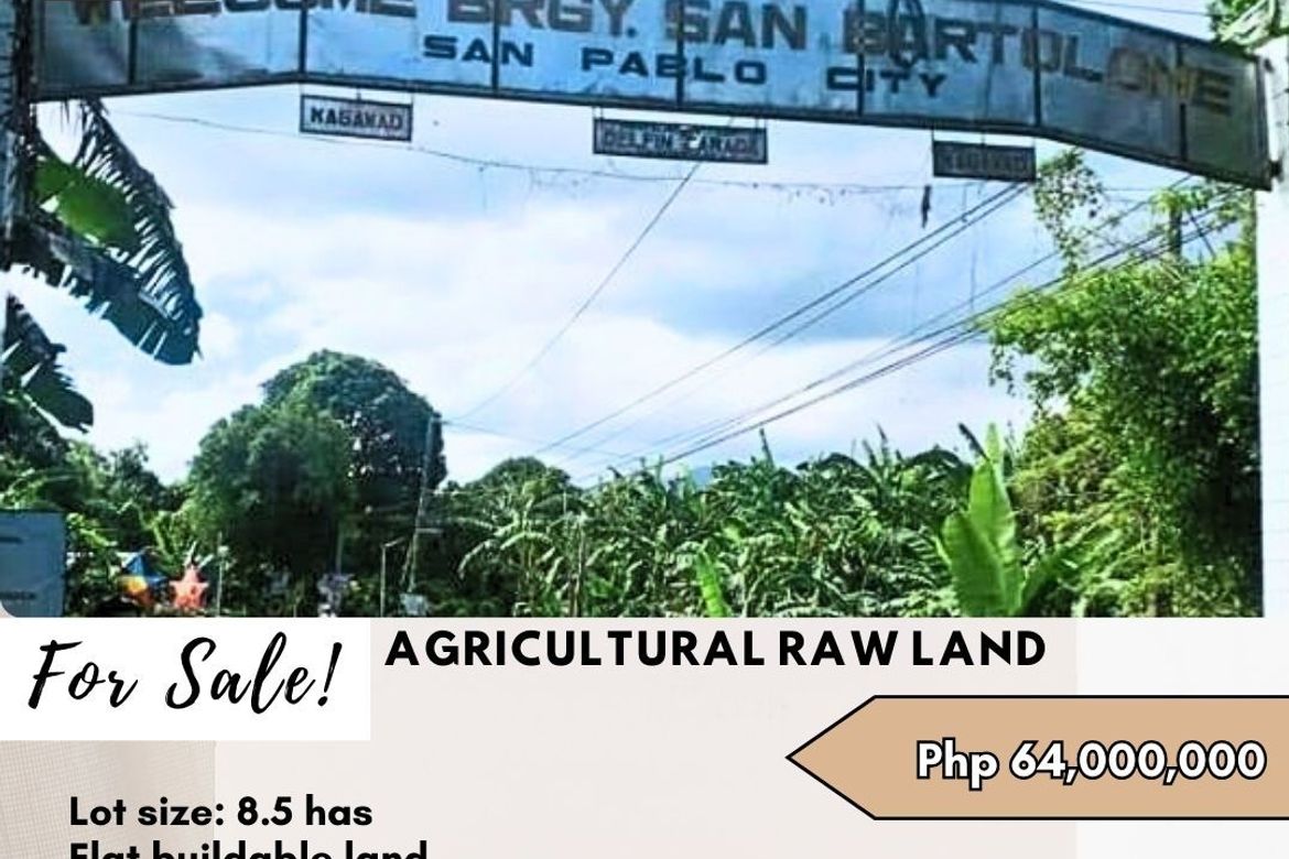 Land for Sale in San Bartolome, San Pablo, Laguna