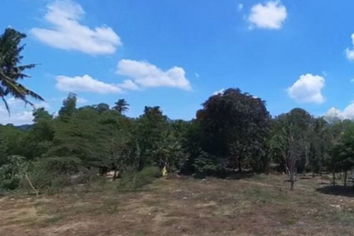 Land for Sale in San Bartolome, San Pablo, Laguna – photo 2